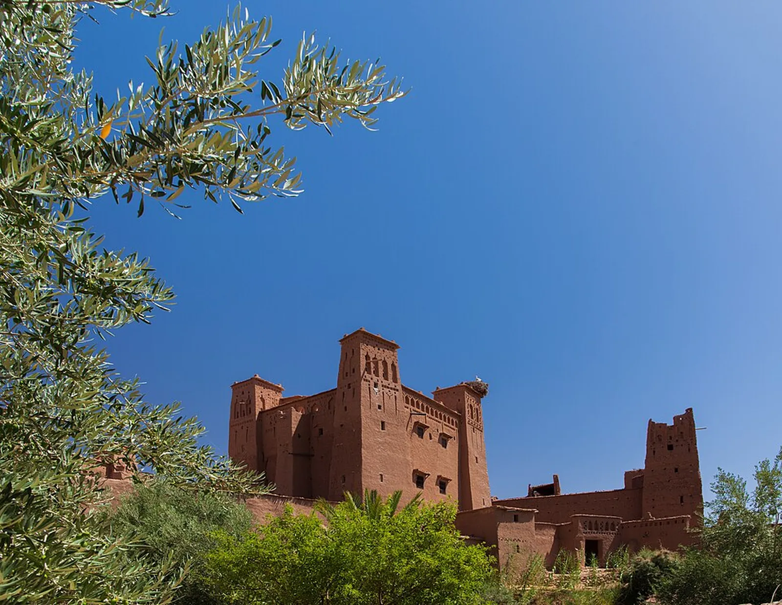 5 Secret Spots in Morocco to Explore by Rental Car